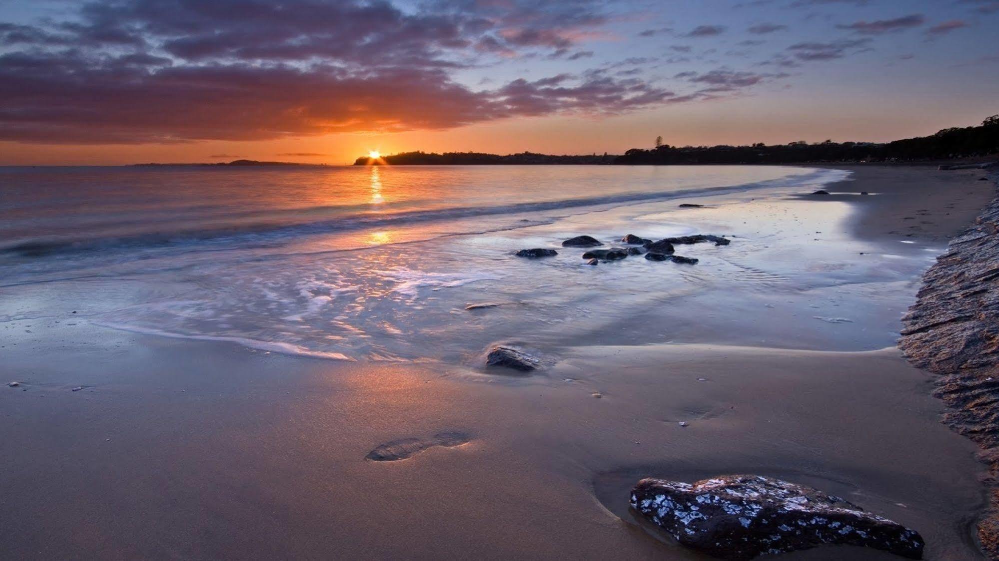 Kohimarama Beach Bed & Breakfast - Style And Privacy In Superb Location Auckland Kültér fotó